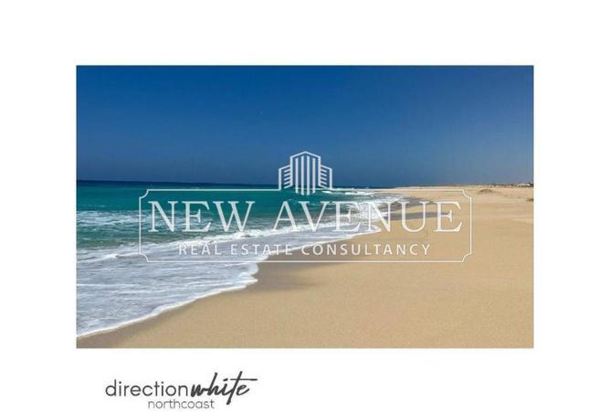 8344981 - Property Image 3