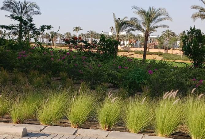 8535180 - صورة العقار 2