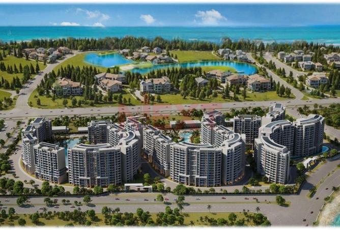 8095694 - Property Image 3