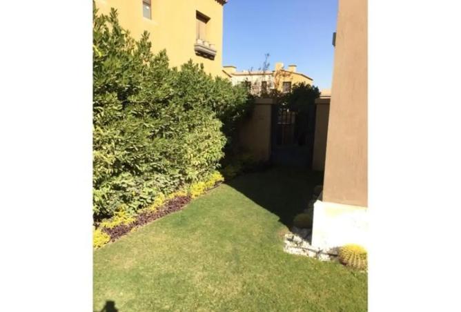 7903690 - صورة العقار 3