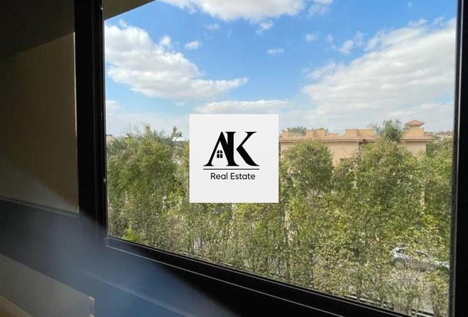 8347569 - Property Image 3