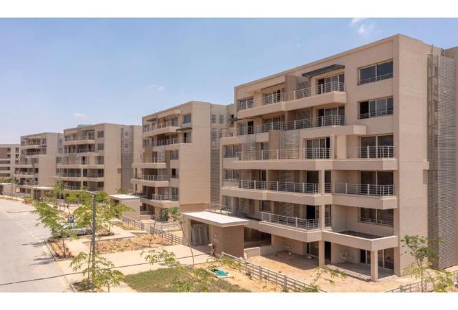 8037031 - Property Image 3