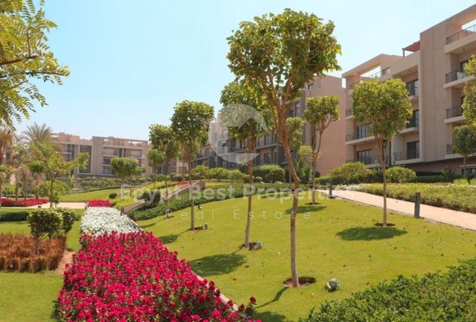8030970 - صورة العقار 3