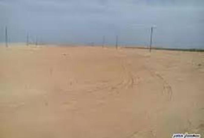 8016838 - صورة العقار 3