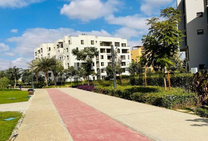 8402650 - Property Image 3