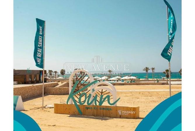 8347671 - Property Image 3