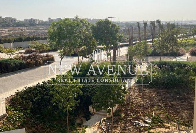 8242254 - Property Image 3