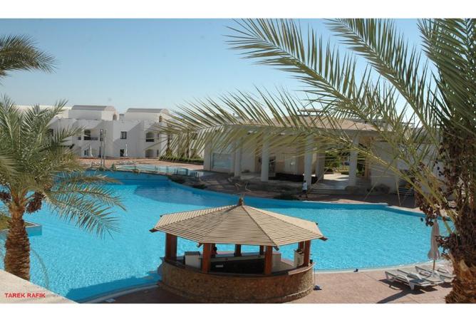 7994316 - صورة العقار 2