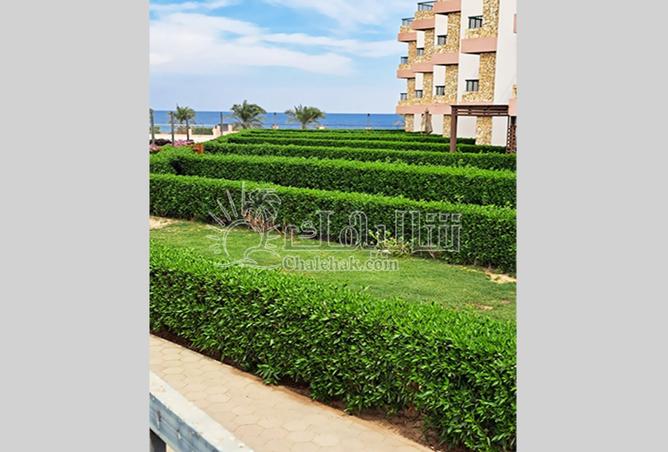 8506564 - صورة العقار 2