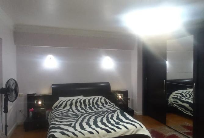 8014298 - Property Image 3
