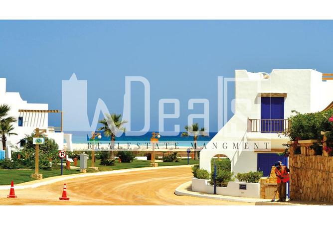 8191074 - صورة العقار 2