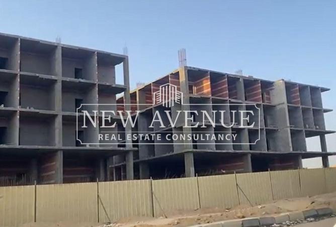 8094293 - Property Image 3