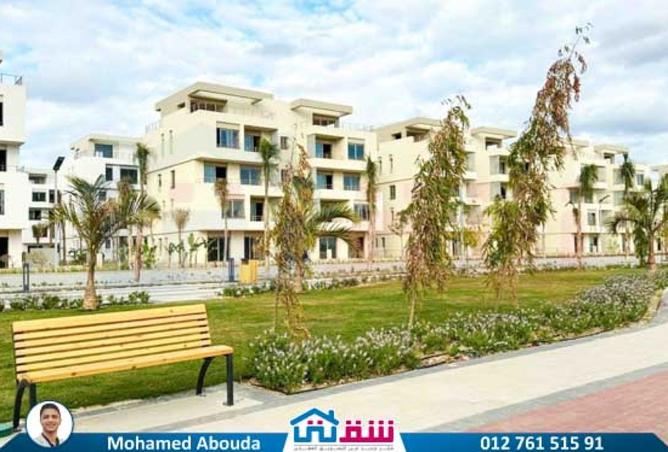 7935559 - Property Image 2