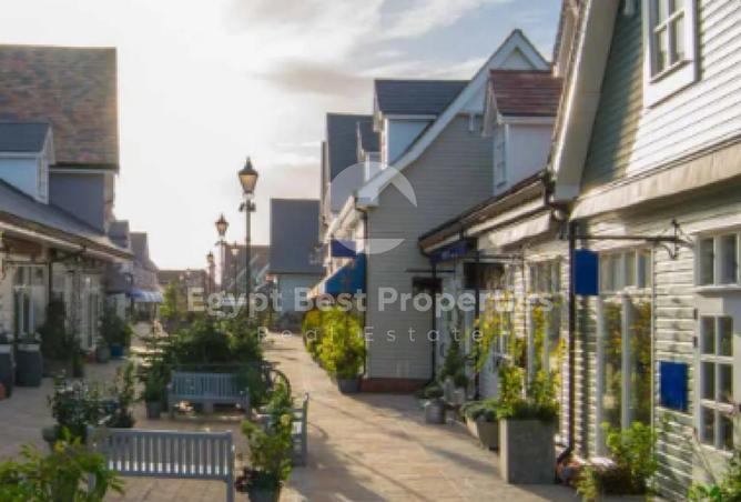 8292265 - Property Image 2