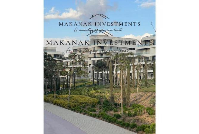 8396937 - Property Image 2