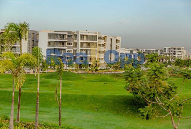 8331287 - صورة العقار 3