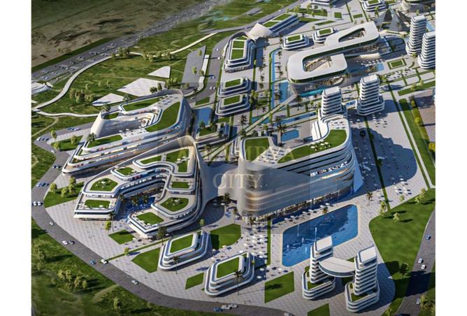 8177283 - Property Image 3