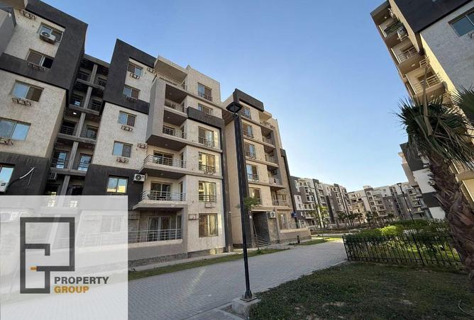 8326525 - Property Image 3