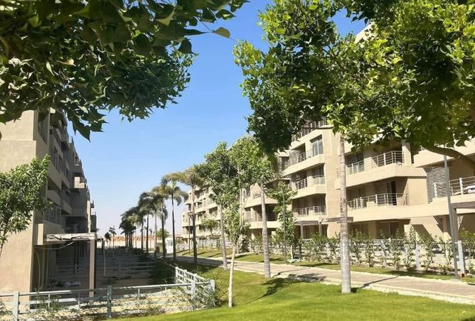 8262674 - صورة العقار 3