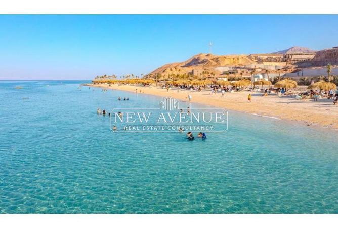 8205273 - Property Image 3