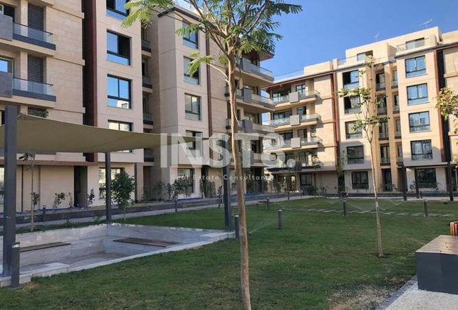 8439361 - Property Image 3