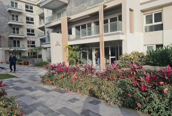 7971259 - Property Image 3