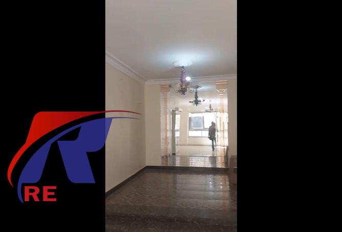 8233210 - Property Image 3