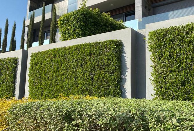 8282064 - صورة العقار 2