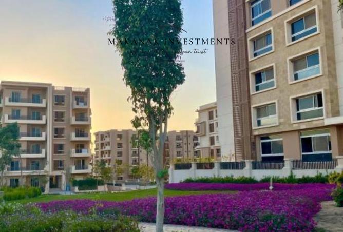 7937427 - Property Main Image