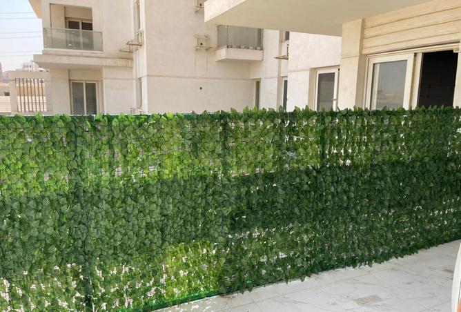 8036469 - Property Image 3
