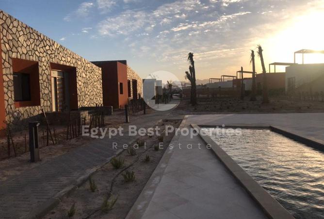 8424539 - صورة العقار 3