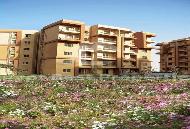 7993386 - صورة العقار 2
