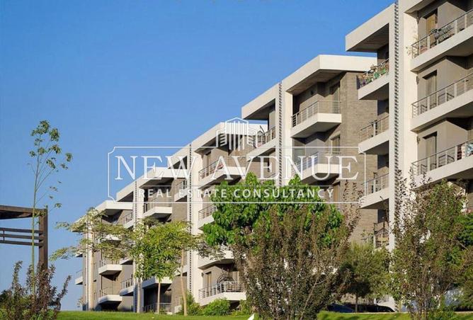 8164581 - صورة العقار 2