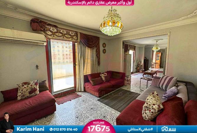 8146441 - Property Image 2