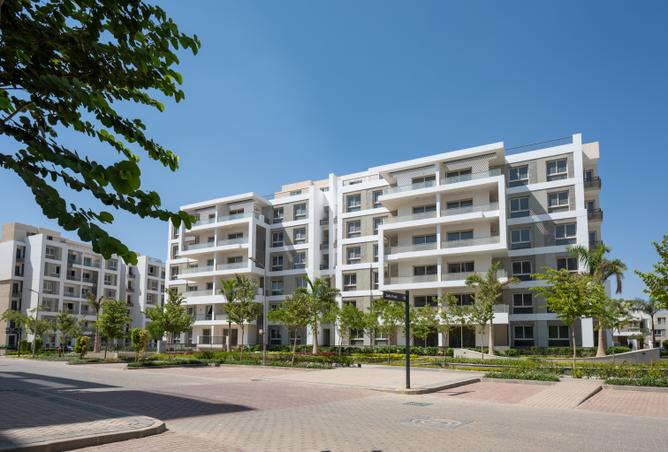 7987405 - Property Image 2
