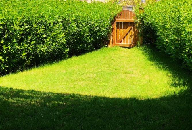 8417308 - Property Image 2