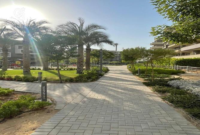 7986463 - صورة العقار 2