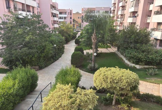 7984007 - صورة العقار 3