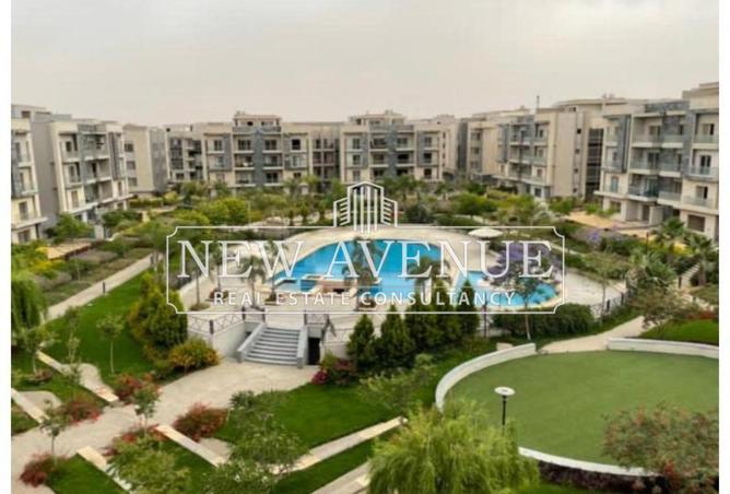 7960779 - صورة العقار 3