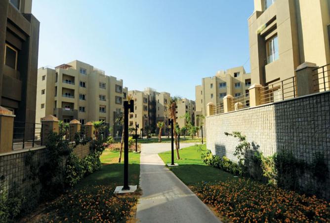 8123879 - صورة العقار 3