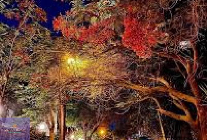 7554411 - Property Main Image