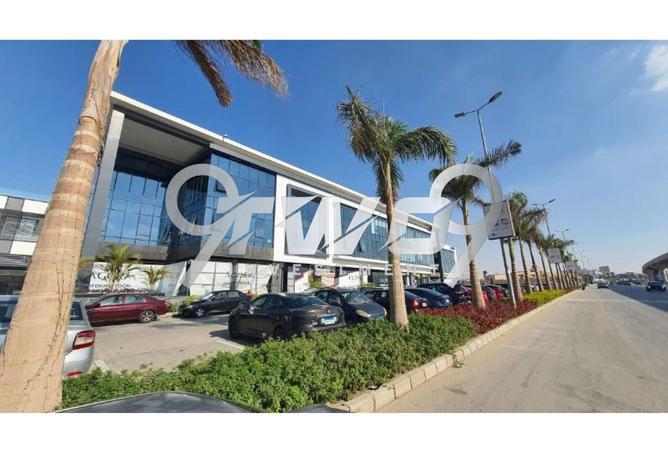 8148998 - Property Image 3