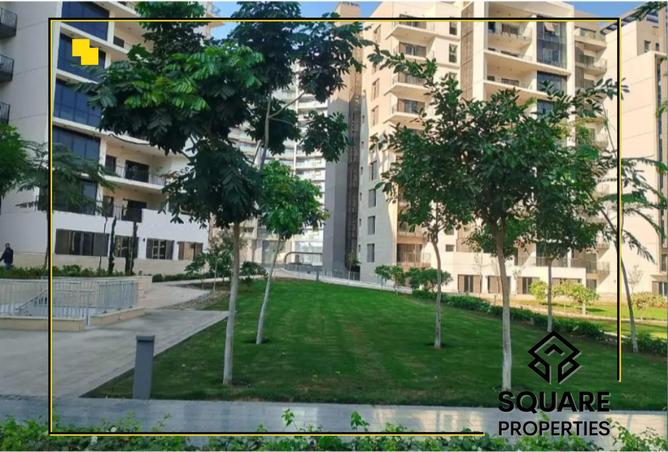 8333905 - صورة العقار 3