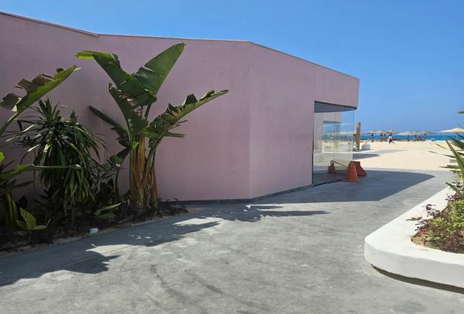 8240559 - صورة العقار 3