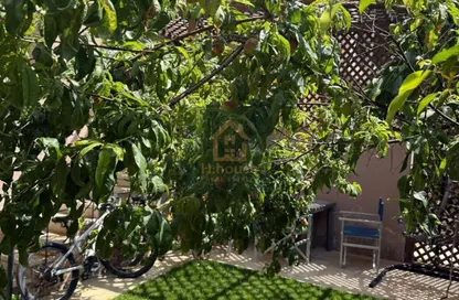 شقة - 3 غرف نوم - 3 حمامات للبيع في شارع احمد بن حنبل - الرحاب المرحلة الأولى - الرحاب - مدينة القاهرة الجديدة - القاهرة شقة - 3 غرف نوم - 3 حمامات للبيع في شارع احمد بن حنبل - الرحاب المرحلة الأولى - الرحاب - مدينة القاهرة الجديدة - القاهرة