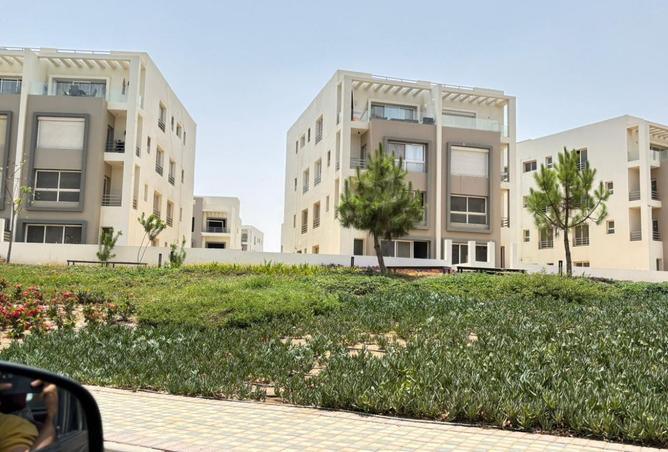 7918758 - صورة العقار 3