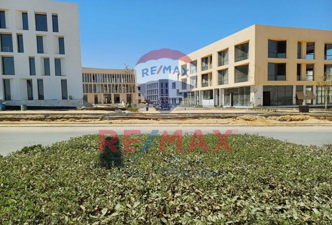 7983324 - Property Image 3