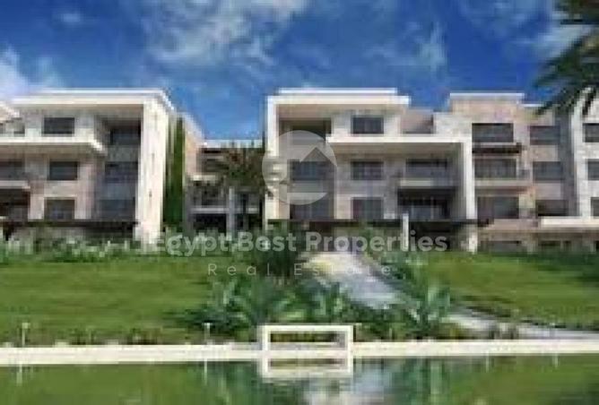 8386578 - Property Image 3