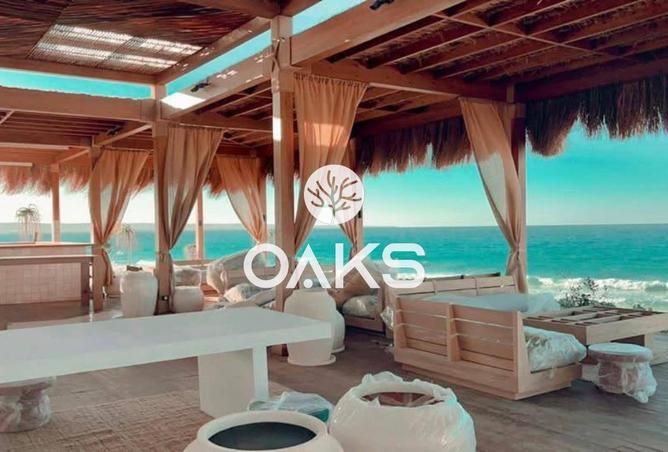 8163631 - Property Image 2