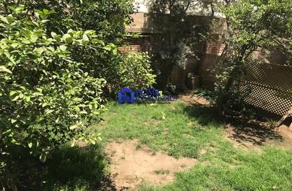 Apartment - 3 Bedrooms - 3 Bathrooms for rent in Degla Square - Degla - Hay El Maadi - Cairo